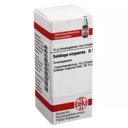 SOLIDAGO VIRGAUREA D 6 globuli, 10 g