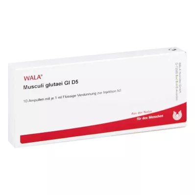 MUSCULI GLUTAEI GL D 5 ampuller, 10X1 ml