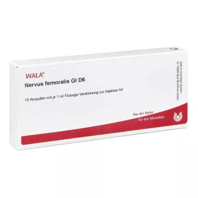 NERVUS FEMORALIS GL D 6 ampuller, 10X1 ml NERVUS FEMORALIS GL D 6 ampuller, 10X1 ml