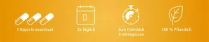Instructions for use for Egyptisk sort spisskummen oljekapsler 500 mg, 180 stk - 2