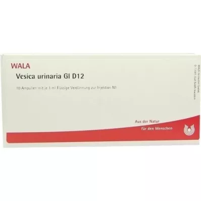 VESICA URINARIA GL D 12 Ampuller, 10X1 ml