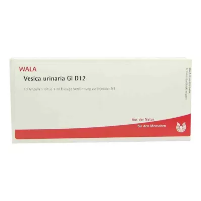 VESICA URINARIA GL D 12 Ampuller, 10X1 ml VESICA URINARIA GL D 12 Ampuller, 10X1 ml