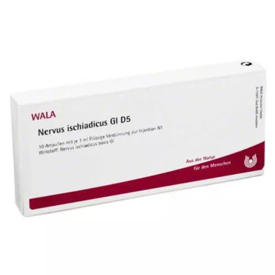 NERVUS ISCHIADICUS GL D 5 ampuller, 10X1 ml NERVUS ISCHIADICUS GL D 5 ampuller, 10X1 ml
