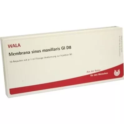 MEMBRANA sinus maxillaris GL D 8 ampuller, 10 x 1 ml