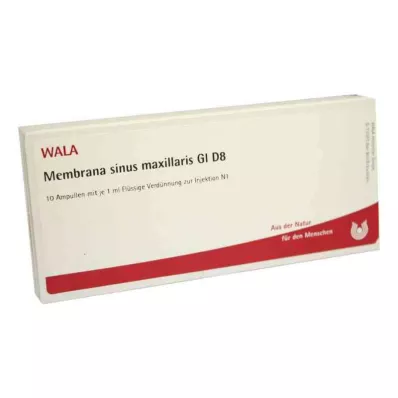 MEMBRANA sinus maxillaris GL D 8 ampuller, 10 x 1 ml