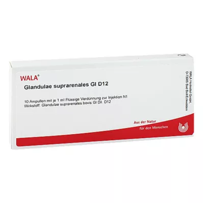 GLANDULAE SUPRARENALES GL D 12 Ampuller, 10X1 ml GLANDULAE SUPRARENALES GL D 12 Ampuller, 10X1 ml