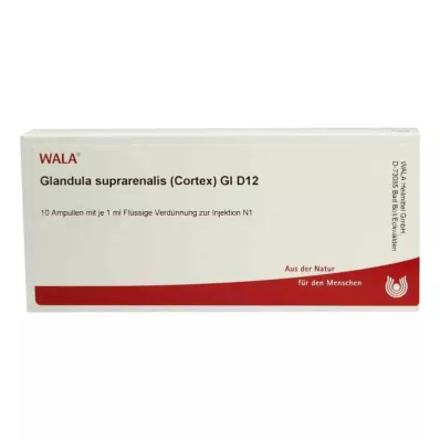 GLANDULA SUPRARENALES cortex GL D 12 ampuller, 10X1 ml GLANDULA SUPRARENALES cortex GL D 12 ampuller, 10X1 ml