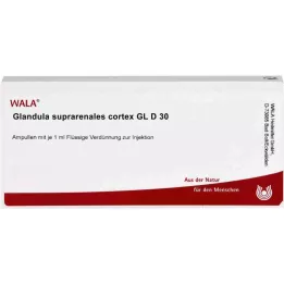 GLANDULA SUPRARENALES cortex GL D 30 ampuller, 10X1 ml