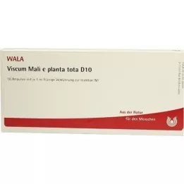 VISCUM MALI e planta tota D 10 ampuller, 10X1 ml