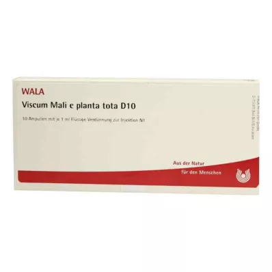 VISCUM MALI e planta tota D 10 ampuller, 10X1 ml