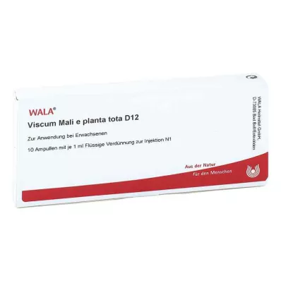 VISCUM MALI e planta tota D 12 Ampuller, 10X1 ml VISCUM MALI e planta tota D 12 Ampuller, 10X1 ml