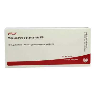 VISCUM PINI e planta tota D 8 Ampuller, 10X1 ml