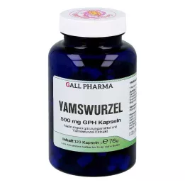 YAMSWURZEL 500 mg GPH Kapsler, 120 stk
