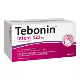 TEBONIN intensive 120 mg filmdrasjerte tabletter, 200 stk