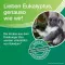 SOLEDUM Balsam flytende, 50 ml