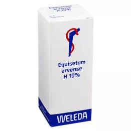 EQUISETUM ARVENSE H 10 % oljeholdig liniment, 50 ml