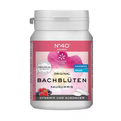 ENERGIE KAUGUMMI ifølge Dr. Bach, 40 stk ENERGIE KAUGUMMI ifølge Dr. Bach, 40 stk