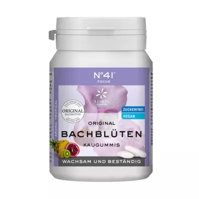 KONZENTRATION Tyggegummi etter Dr. Bach, 40 stk KONZENTRATION Tyggegummi etter Dr. Bach, 40 stk