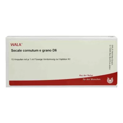 SECALE CORNUTUM E grano D 6 ampuller, 10X1 ml