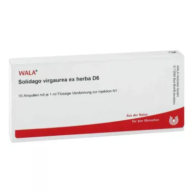 SOLIDAGO VIRGAUREA ex herba D 6 ampuller, 10X1 ml SOLIDAGO VIRGAUREA ex herba D 6 ampuller, 10X1 ml