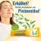 PINIMENTHOL Forkjølelsessalve Eucal./Pine./Menth., 100 g