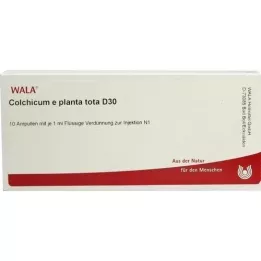 COLCHICUM E planta tota D 30 Ampuller, 10X1 ml