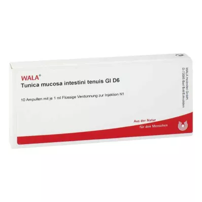 TUNICA mucosa intestini tenuis GL D 6 ampuller, 10X1 ml