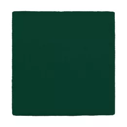 MULLKOMPRESSEN 10x10 cm 12x grønn, 100 stk