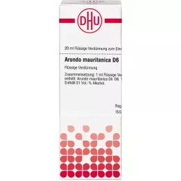 ARUNDO mauritanica D 6 Fortynning, 20 ml