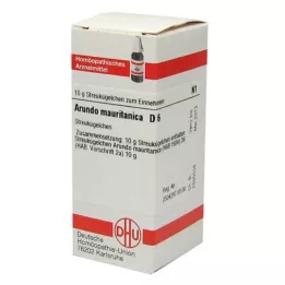 ARUNDO mauritanica D 6 globuler, 10 g