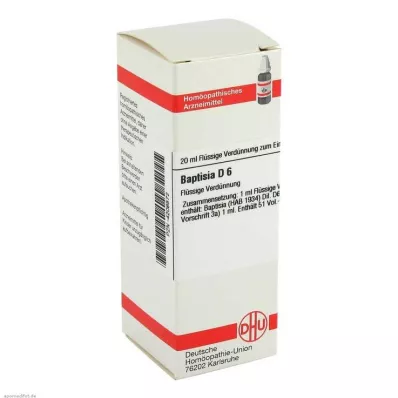 BAPTISIA D 6 Fortynning, 20 ml