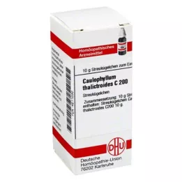 CAULOPHYLLUM THALICTROIDES C 200 globuler, 10 g
