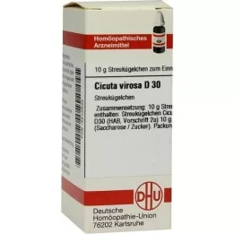 CICUTA VIROSA D 30 globuler, 10 g