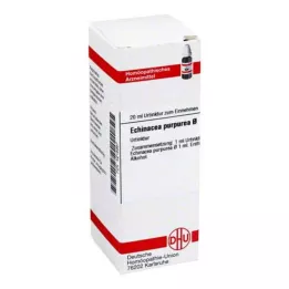 ECHINACEA PURPUREA grunntinktur, 20 ml