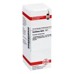GENTIANA LUTEA D 1 Fortynning, 20 ml