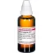 SERUM ANGUILLAE D 12 Fortynning, 50 ml