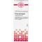 PANAX GINSENG D 6 Fortynning, 20 ml