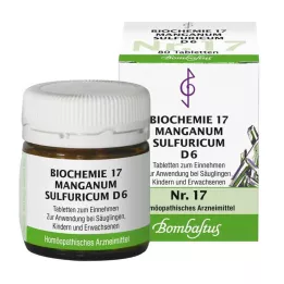 BIOCHEMIE 17 Manganum sulphuricum D 6 tabletter, 80 stk