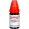 DULCAMARA LM XII Fortynning, 10 ml