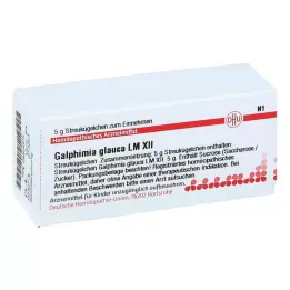Lm Galphimia Glauca Xii kuler (5 g)