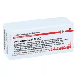 Lm Luffa Operculata Xxx kuler (5 g)
