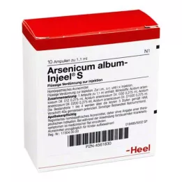 ARSENICUM ALBUM INJEEL S Ampuller, 10 stk