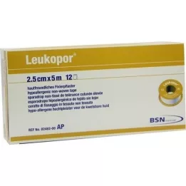 LEUKOPOR 2,5 cmx5 m, 12 stk