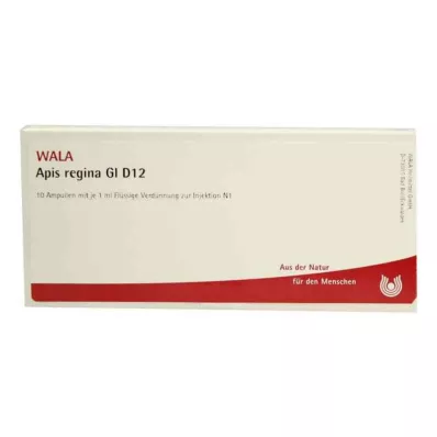 APIS REGINA GL D 12 Ampuller, 10X1 ml