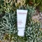 ALOE VERA CREME medium uten parfyme, 30 ml