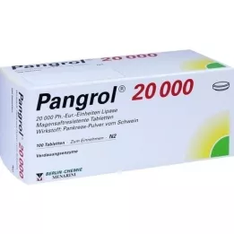 PANGROL 20 000 enterotabletter, 100 stk