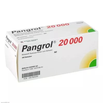PANGROL 20 000 enterotabletter, 100 stk