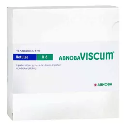 ABNOBAVISCUM Betulae D 6 ampuller, 48 stk