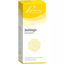 SOLIDAGO SIMILIAPLEX Dråper, 50 ml