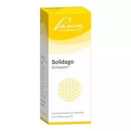 SOLIDAGO SIMILIAPLEX Dråper, 50 ml